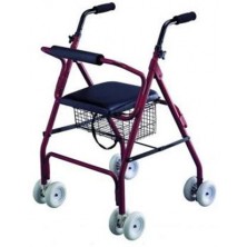 Andador Rollator 1
